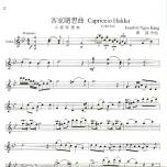 中華民族風格器樂曲：懷念樂詩（附獨奏譜）