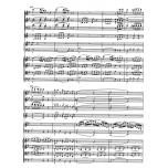 Concerto for Piano and Orchestra No. 20 d minor KV 466