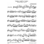 Sonate für Altblockflöte solo c-Moll Wq 132