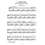 【維也納原始版】舒伯特鋼琴奏鳴曲全集第二卷