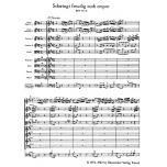 Schwingt freudig euch empor BWV 36