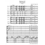 Symphony No. 38 D major KV 504 'Prague Symphony'