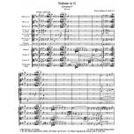 Symphony No. 32 G major KV 318