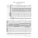 St. John Passion BWV 245