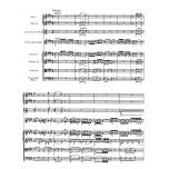 Concerto for Violin and Orchestra no. 5 A major K. 219