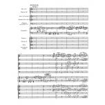 Concerto for Piano and Orchestra no. 13 C major K. 415 (378b)