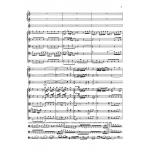 Concerto for Violoncello and Orchestra C major Hob.VIIb:1