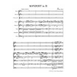 Konzert for Violoncello and Orchestra D major Hob.VIIb:2
