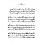 Complete String Trios for Violin, Viola and Violoncello