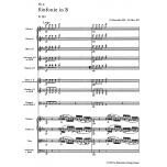 Symphony No. 2 B flat major D 125