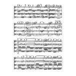 String Quartet Nr. 2 B-flat major B 17