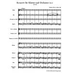 Concerto for Piano and Orchestra No. 24 c minor KV 491