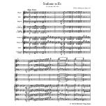 Symphony No. 26 E flat major KV 184(166a)