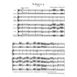 Symphony No. 25 g minor KV 183