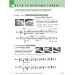 Level 3B – Technique & Artistry Book