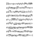 巴哈 小提琴無伴奏 【小熊版】新版Three Sonatas and three Partitas for Solo Violin BWV 1001-1006