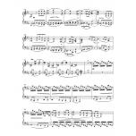 Schubert：Sonata for Piano C minor D 958