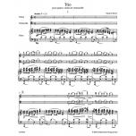 Ravel：Trio for Piano, Violin and Violoncello