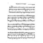 Suzuki Cello School Vol.8 鈴木大提琴鋼琴伴奏譜 【第八冊】