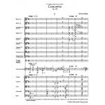 Elgar：Concerto for Violoncello and Orchestra e minor op. 85