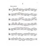 大譜版【中提琴】費華練習曲--上冊