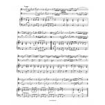 Vivaldi：Concerto for two Violoncellos, Strings and Basso continuo in G minor RV 531