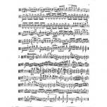 Franz Anton Hoffmeister Studies For Viola  