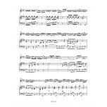 Bach：Concerto for Violin, Strings and Basso Continuo in E major BWV 1042