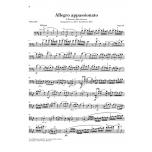 亨樂大提- Saint-Saëns：Allegro appassionato op. 43 for Violoncello and Piano
