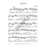 Piano Repertoire: Romantic & 20th Century, Level 10