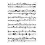亨樂管樂-Weber：Clarinet Concerto no. 2 E flat major op. 74