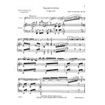 Sarasate：Zigeunerweisen (Gypsy Aires) Op.20 for Violin and Piano (Schirmer Library of Classics Vol.1064)