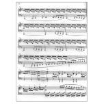 貝多芬鋼琴奏鳴曲全集(35首)卷2（附音訊）