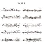 蕭邦作品全集．2 練習曲