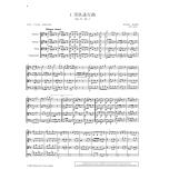 弦樂四重奏經典名曲庫·浪漫主義作品集（2）