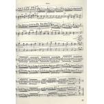 【簡中】【波蘭國家版】蕭邦鋼琴作品全集35 變奏曲．迴旋曲身後出版 附分譜一冊