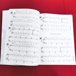 【簡中】【超大音符大開本】〈徹爾尼〉車爾尼599鋼琴初級教程/鋼琴巴士雙引擎智能7+1曲庫【掃碼綁定圖書】
